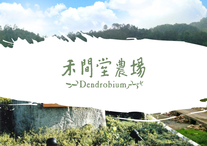 青青禾间堂 包装及农场形象设计